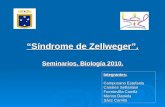 Síndrome de Zellweger-diapositivas