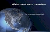México y sus tratados comerciales