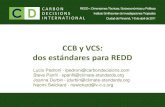 REDD Panama 2011 - Lucio Pedroni / Estándares certificación REDD