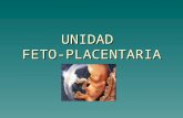 UNIDAD feto placentaria