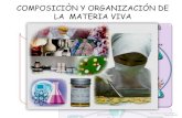 Composicion y Organizacion de La Materia Viva-SALJ