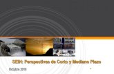 SEIN - Perspectivas Energéticas de Corto y Mediano Plazo 2010