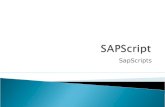 6.- SapScript