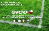 Informe chile copa américa 2011