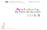 Plan de acción 2013