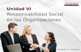 Responsabilidad social en la organización