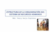 Organización de Recursos Humanos