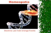 Homeopatía 2