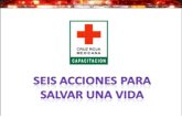 Curso 6 acciones cruz roja mexicana