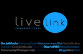 Livelink Agencia Marketing Digital