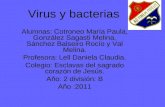 (Biología) Virus y Bacterias.