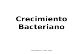 Crecimiento Bacteriano Ilse Valderrama