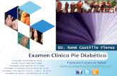 Examen Clinico Del Pie Diabetico 2011