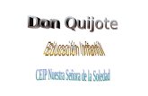 Quijote 2005 (Pp Tminimizer)