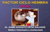 9. Factor Ciclo Hembra (Fch)