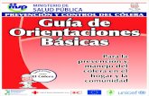 Rotafolio Guia de Orientaciones Basicas Contra El Colera Curva 17x22