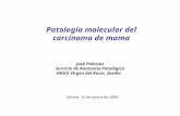 Patología Molecular Del Cáncer De Mama
