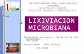 LIXIVIACION MICROBIANA.pptx