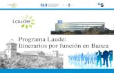 Programa laude- Itinerarios por función en Banca
