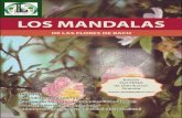 Libro de los Mandalas de las Flores de Bach
