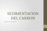 Sedimentacion Del Carbon
