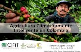 Agricultura Climáticamente Inteligente en Colombia, Karolina Argote. Octubre 2014