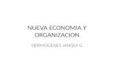Nueva economia y organizacion
