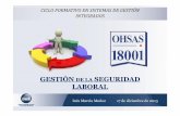 Formación OHSAS 18001 2007