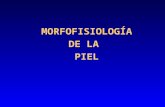 Morfofisiologia de La Piel (1)