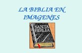 La Biblia En Imagenes