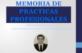 Memoria de practicas profesionales en Inteligencia empresarial
