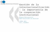 Gestión de la internacionalización: la importancia de la cooperación institucional
