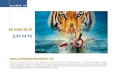 LIFE OF PI ACTIVITY PACK