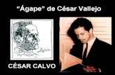 Agape - de César Vallejo en la voz de César Calvo - poema