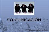 Comunicación (asertiva y efectiva)