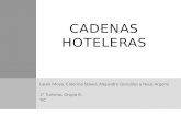 Un análisis 2.0 en distintas Cadenas Hoteleras
