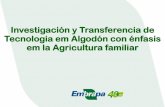 Investigación y transferencia de tecnología en algodón con énfasis en la Agricultura Familiar.