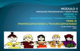 3 Interdisciplinariedad y Transdisciplinariedad