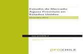 Estudio mercado aguas premiun EEUU.pdf
