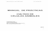 Manual Cultivo Celular