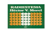6985306 Hector v Morel Radiestesia
