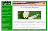 046 - 11.05.10 - Cultivo de la Guanábana.pdf