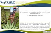 RECURSOS DE LA EMPRESA AGROPECUARIA (TIERRA) - copia.pptx