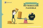 Guía práctica de retribución flexible v. 2014