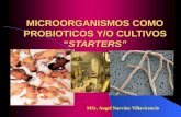 Microorganismos Como Probioticos Y