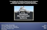 Workflow management system