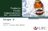 UPC / Copmportamiento del consumidor / Cerveza Pilsen Callao