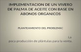 Proyecto De Palma