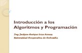 Introducción a los algoritmos y programación   1