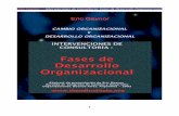 Cambio Organizacional y Desarrollo Organizacional